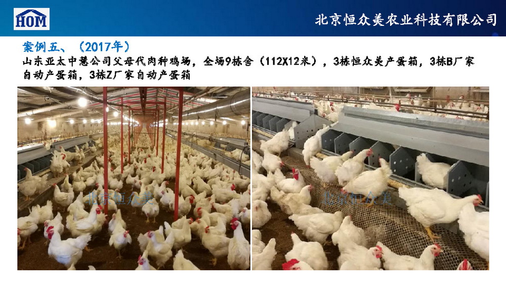 	恒众美自动产蛋箱	