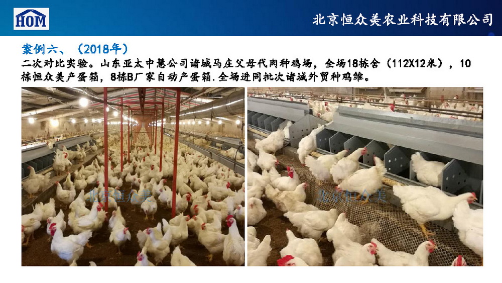 	恒众美自动产蛋箱	