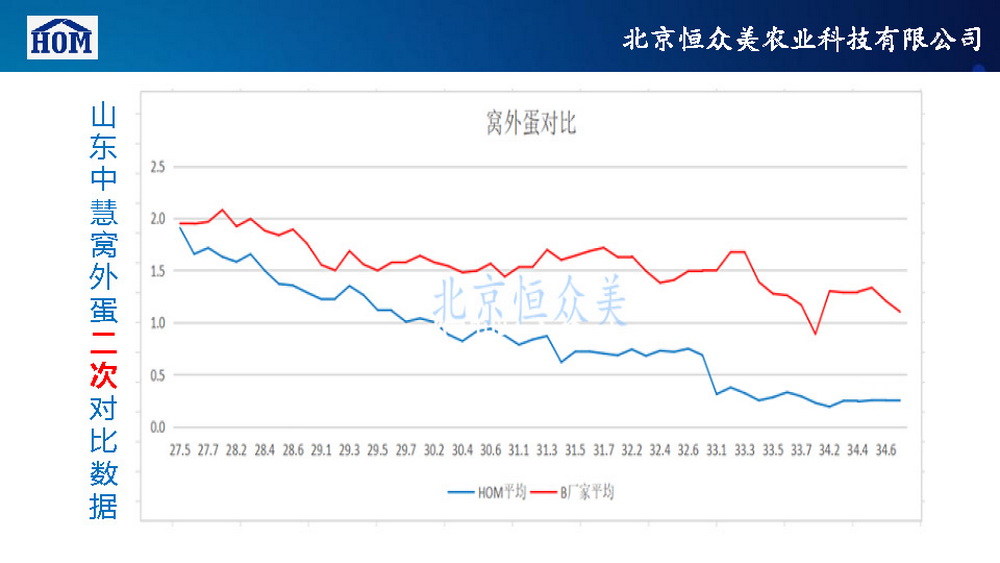 	恒众美自动产蛋箱	