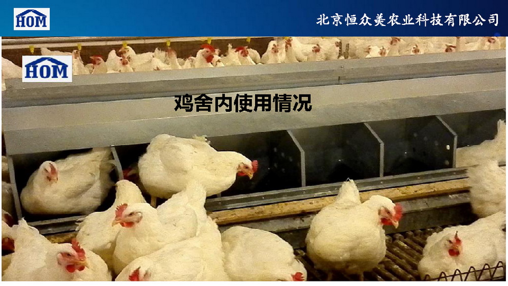 	恒众美自动产蛋箱	