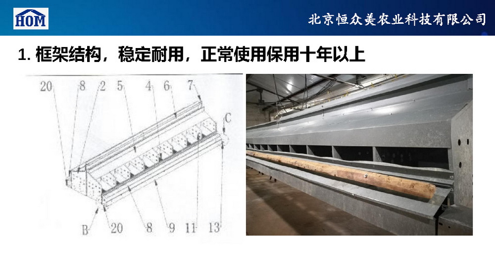 	恒众美自动产蛋箱	