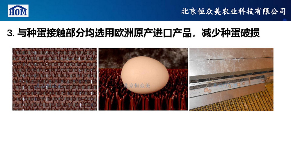 	恒众美自动产蛋箱	