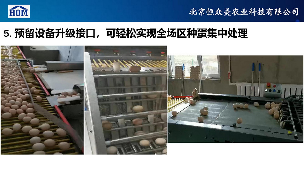 	恒众美自动产蛋箱	