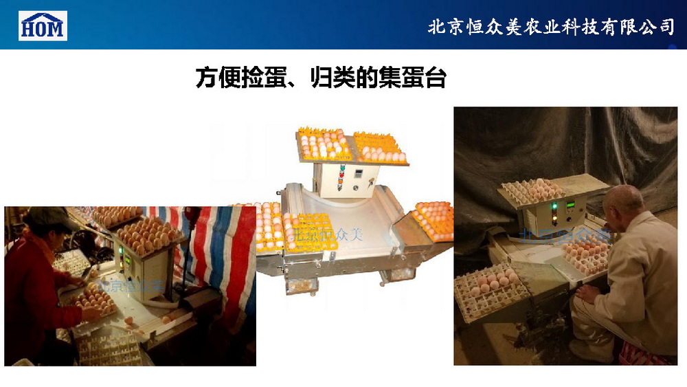 	恒众美自动产蛋箱	