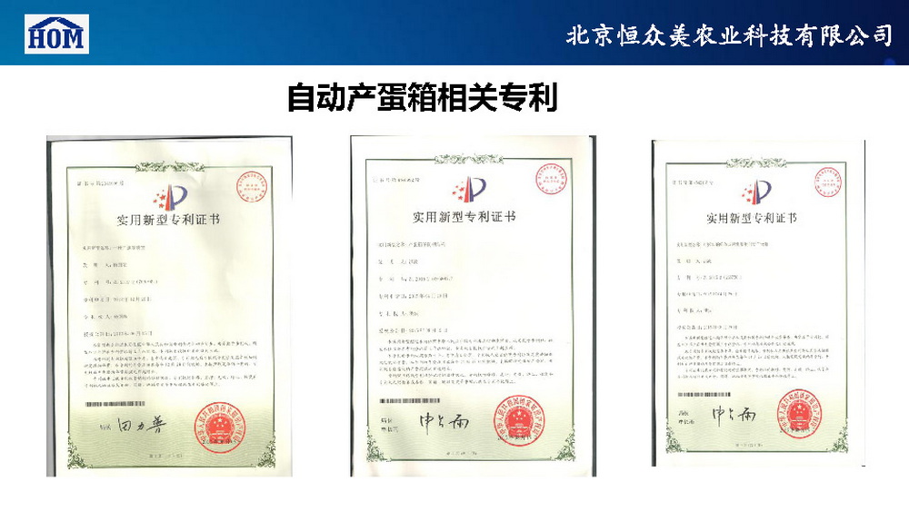 	恒众美自动产蛋箱	