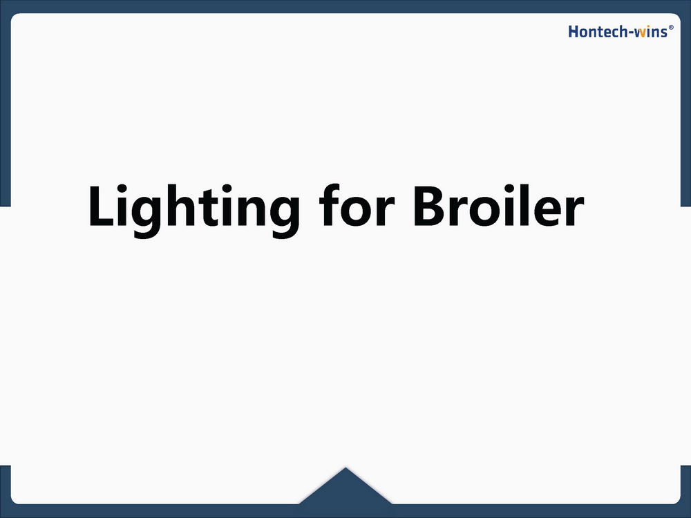 Light for Broiler