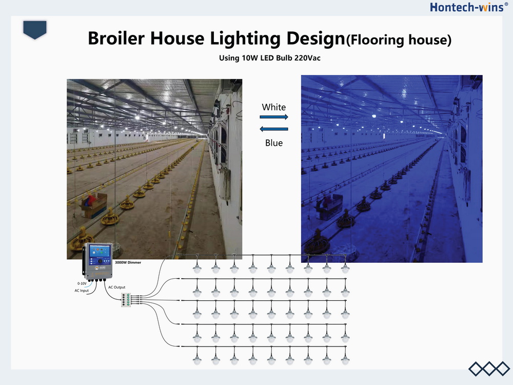 Light for Broiler