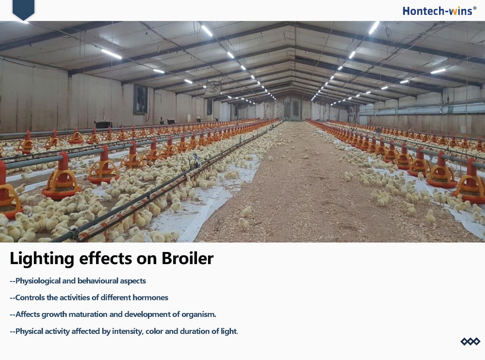 Light for Broiler
