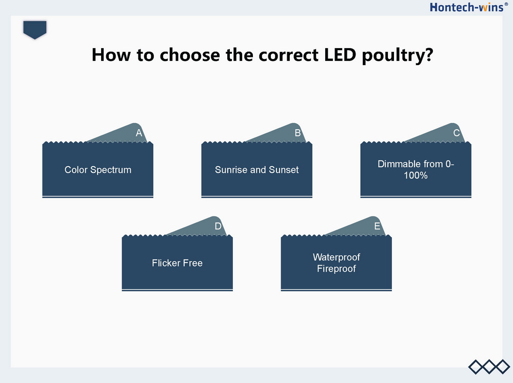 Light for Broiler