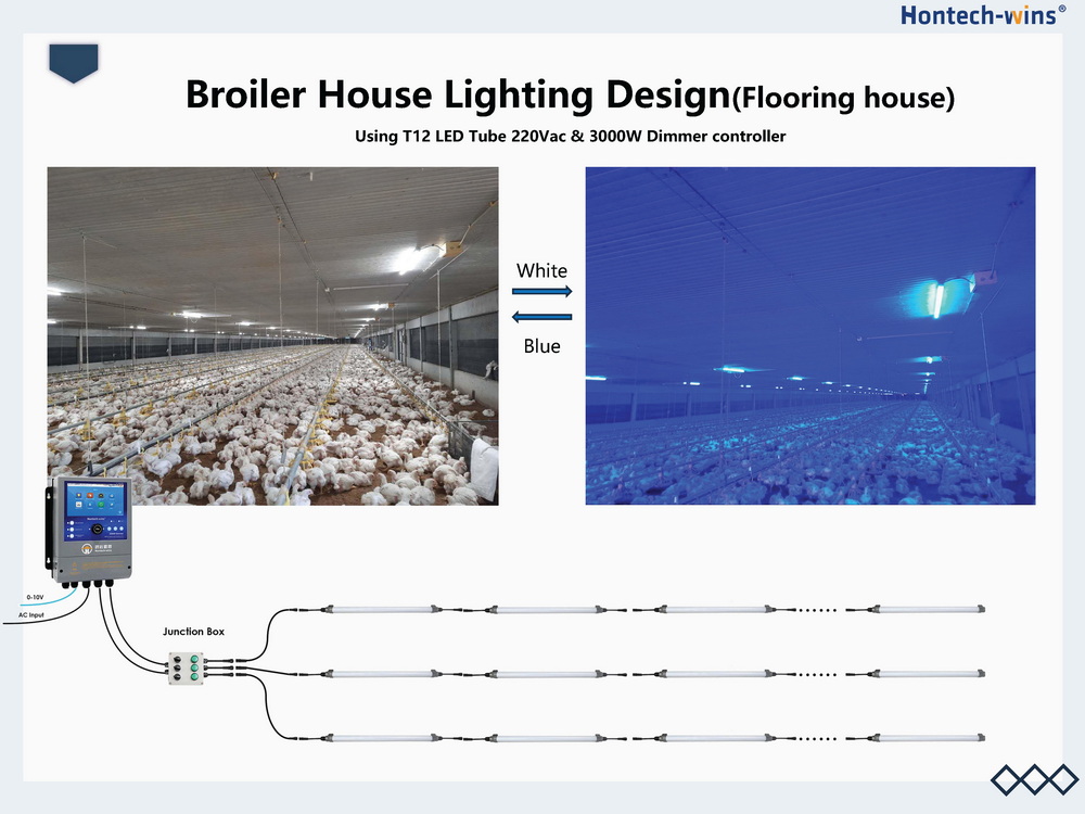 Light for Broiler