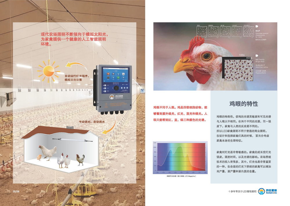 家禽照明设备
