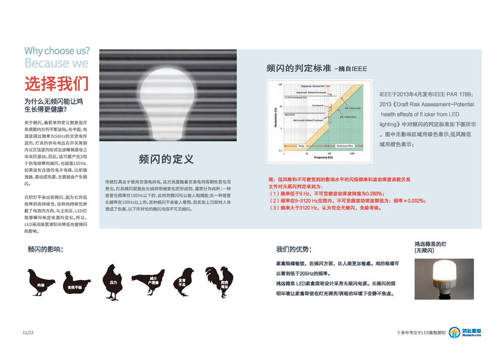 家禽照明设备