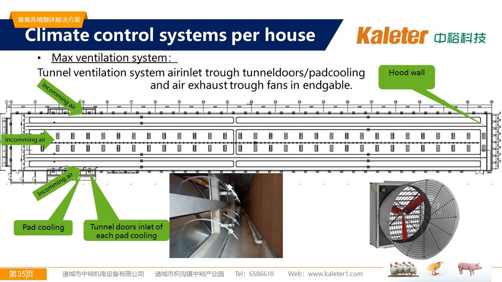 The Best Solution For Livestock Breeding