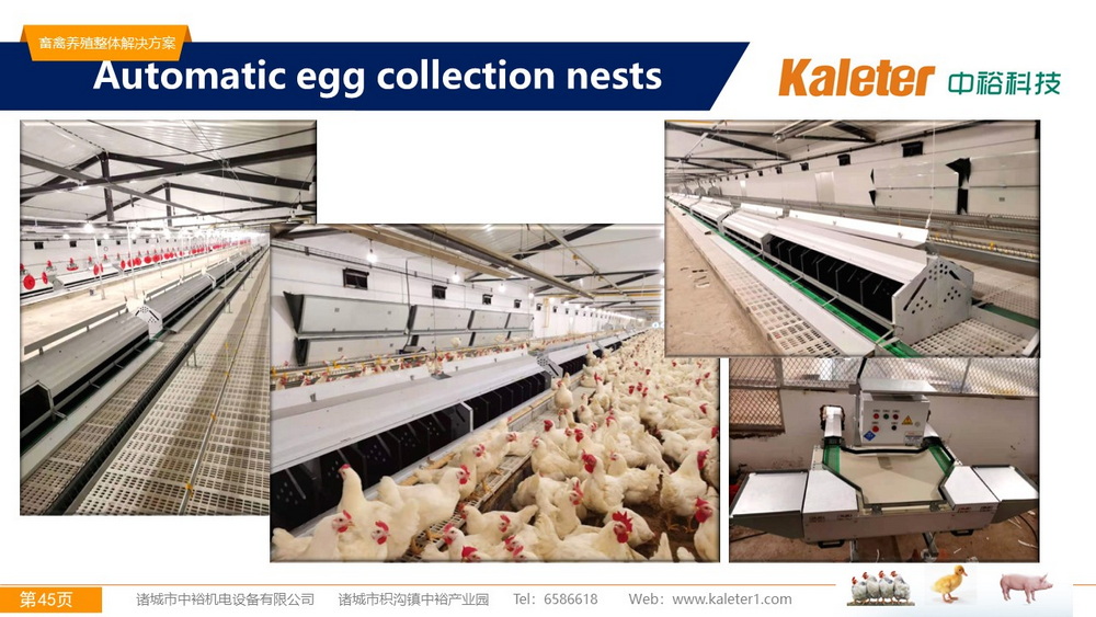 The Best Solution For Livestock Breeding