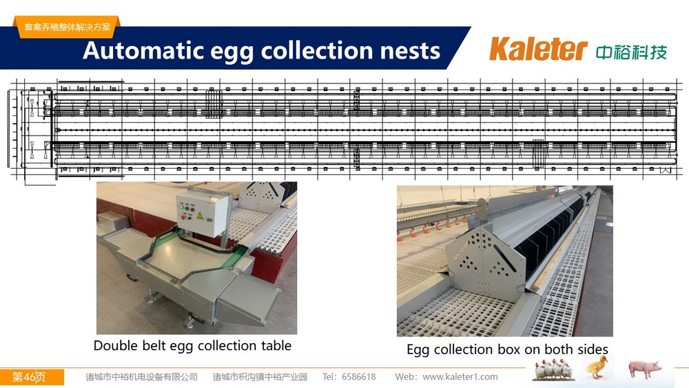 The Best Solution For Livestock Breeding