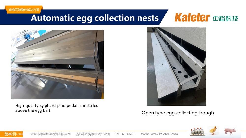 The Best Solution For Livestock Breeding