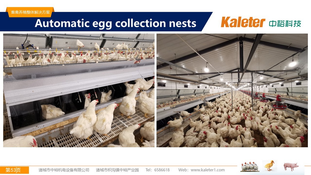 The Best Solution For Livestock Breeding