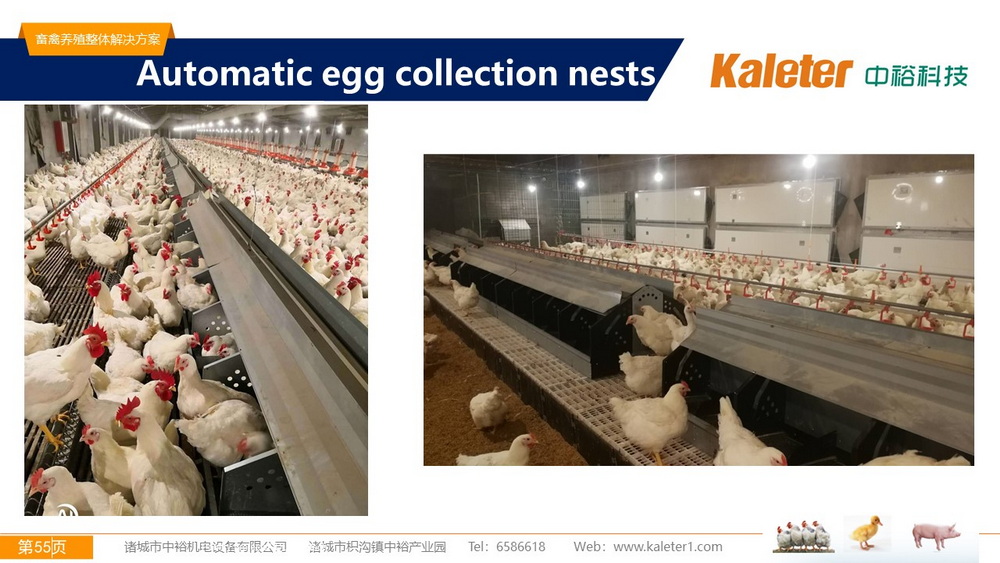 The Best Solution For Livestock Breeding