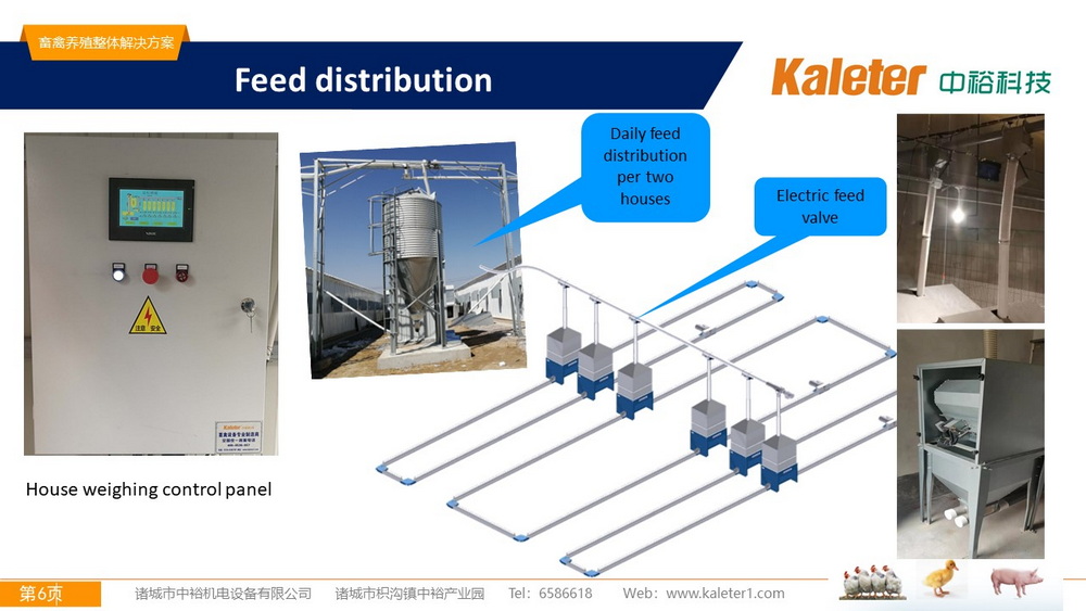 The Best Solution For Livestock Breeding