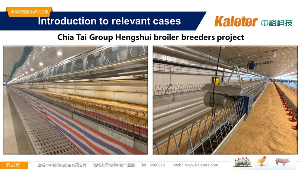 The Best Solution For Livestock Breeding