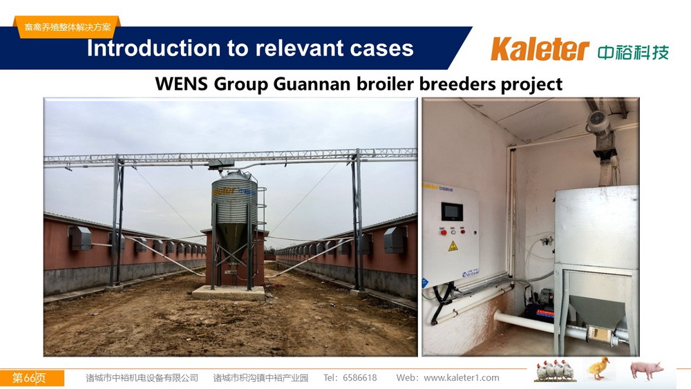 The Best Solution For Livestock Breeding