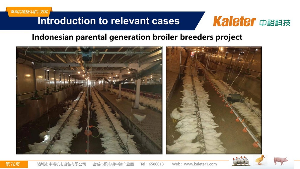 The Best Solution For Livestock Breeding