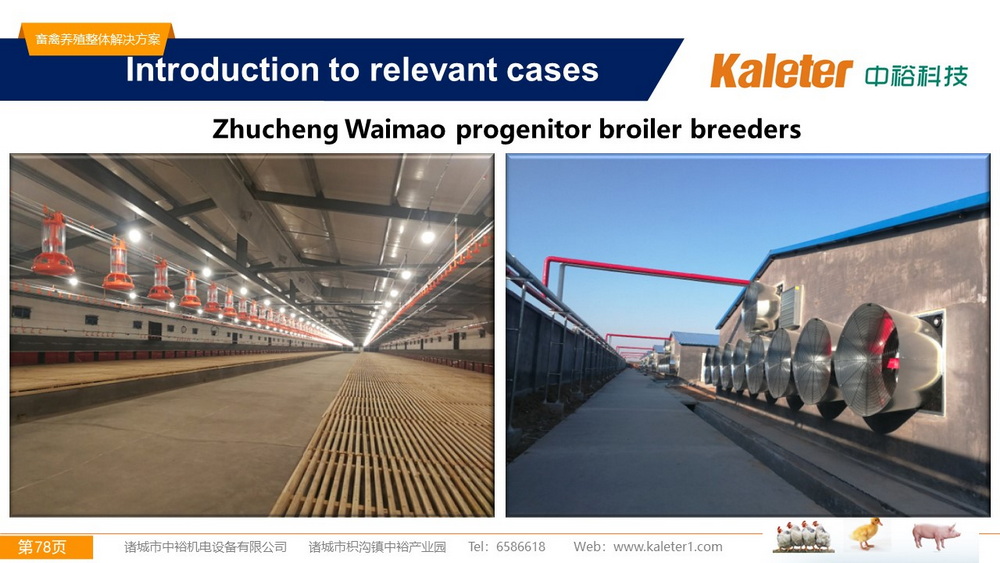 The Best Solution For Livestock Breeding