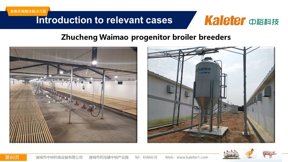The Best Solution For Livestock Breeding