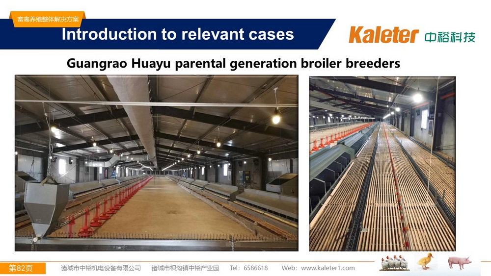 The Best Solution For Livestock Breeding