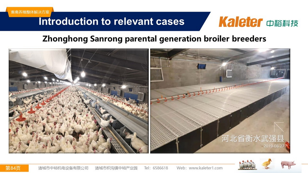 The Best Solution For Livestock Breeding