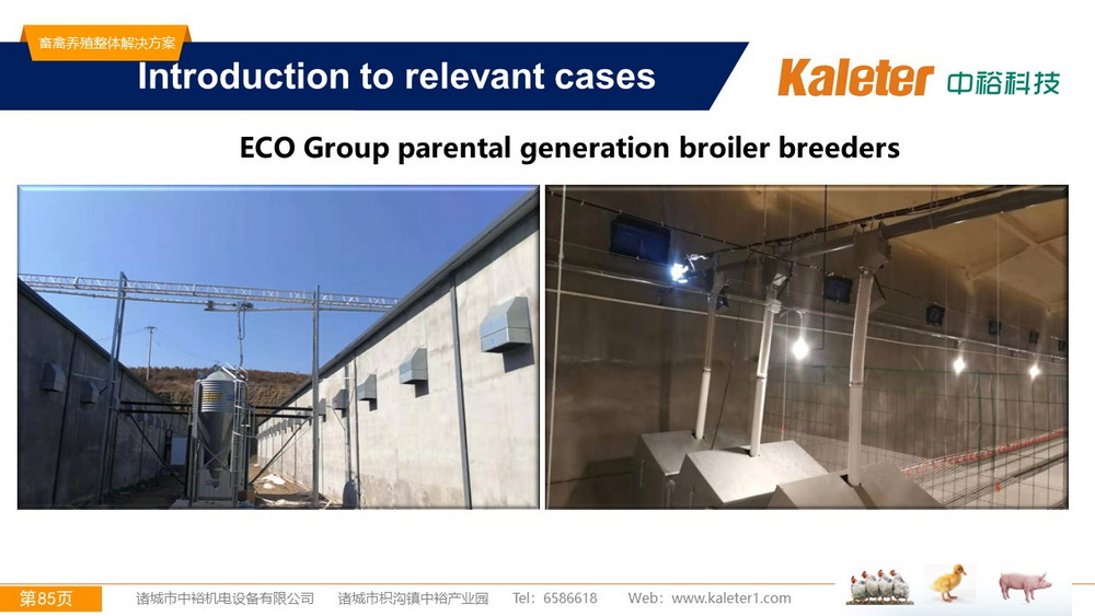 The Best Solution For Livestock Breeding