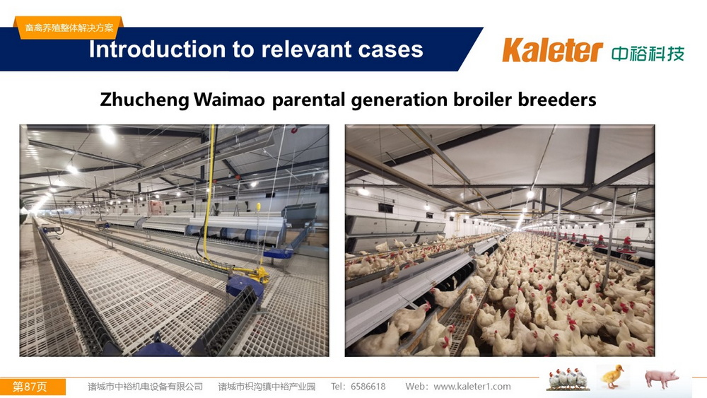 The Best Solution For Livestock Breeding