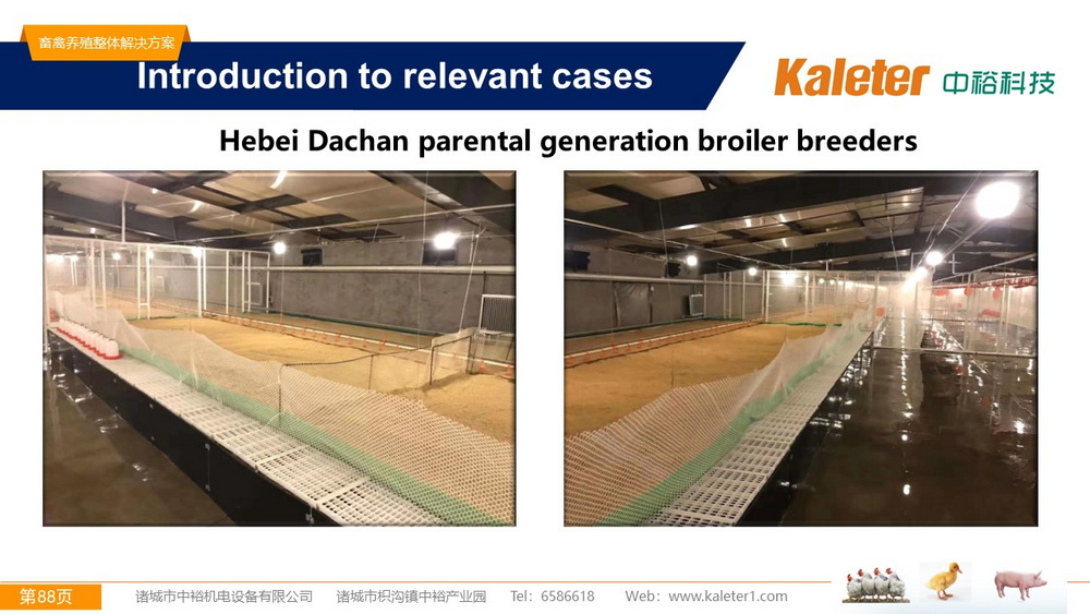 The Best Solution For Livestock Breeding