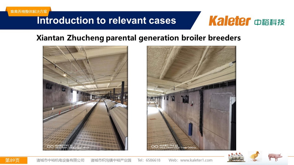 The Best Solution For Livestock Breeding