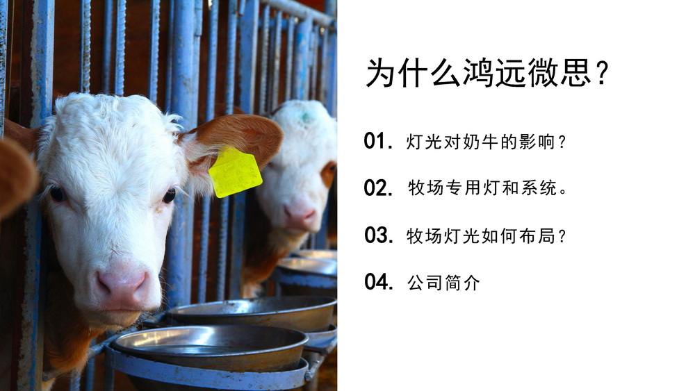牛场照明