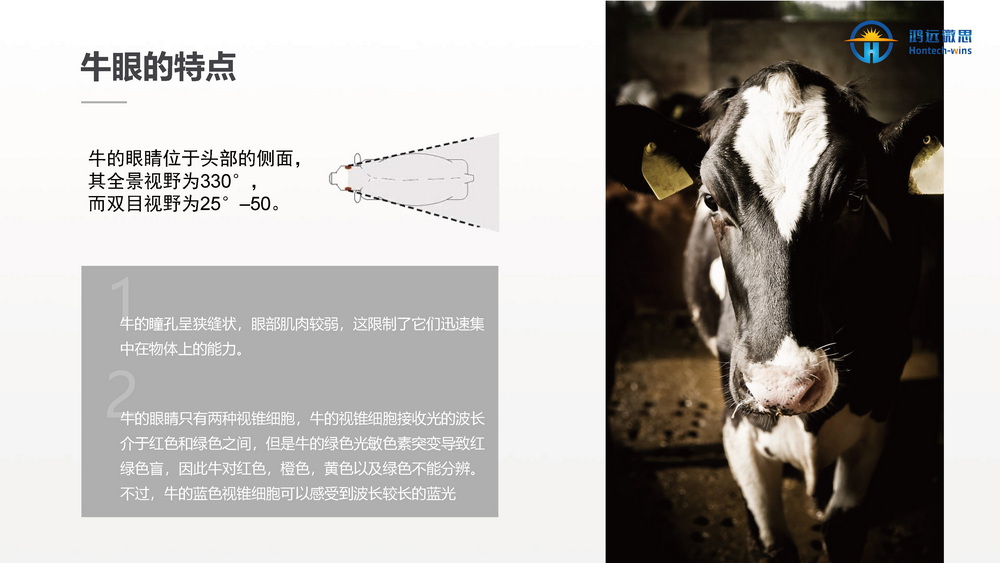 牛场照明