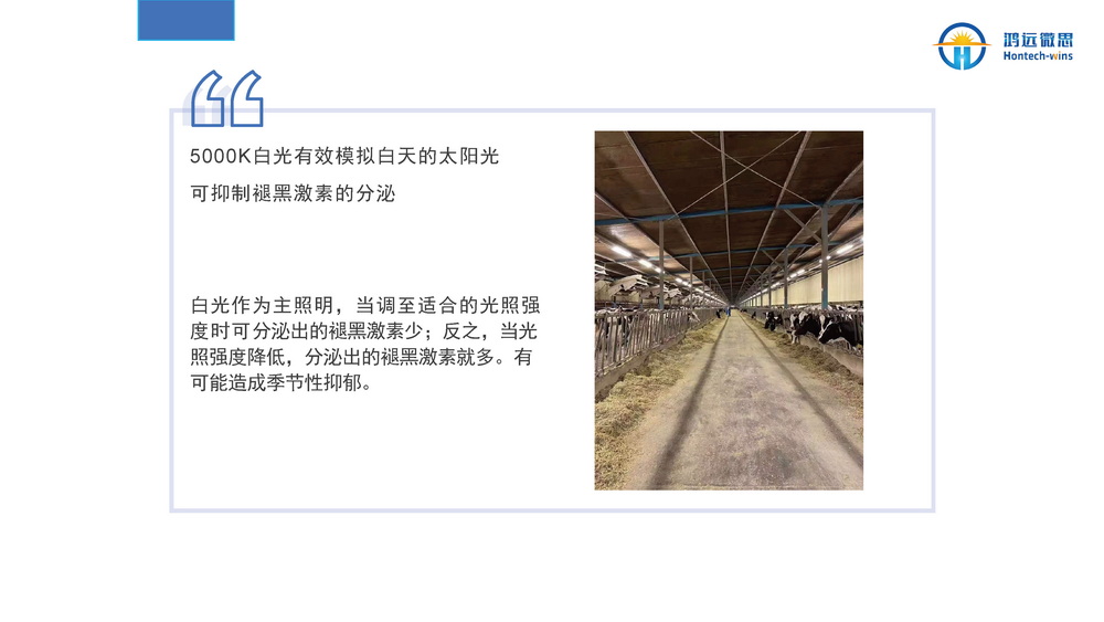 牛场照明