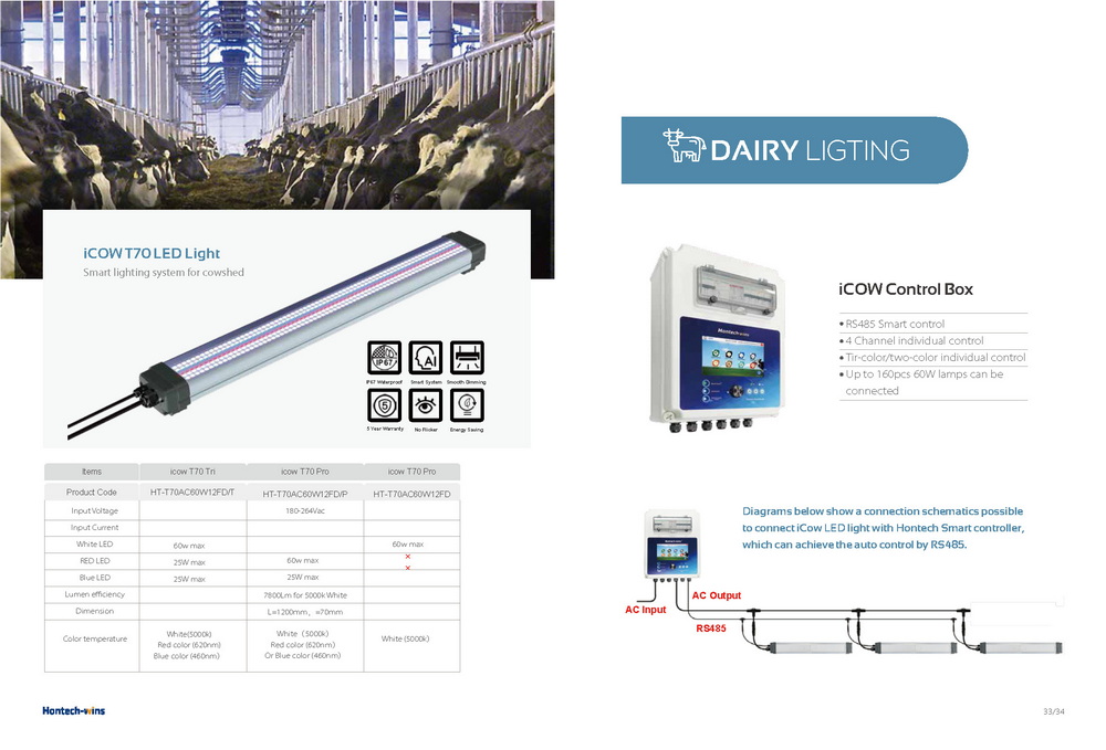 Light for Ruminant