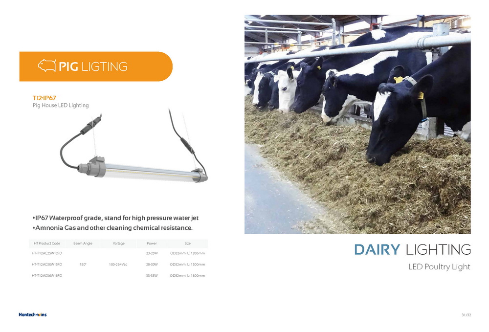Light for Ruminant