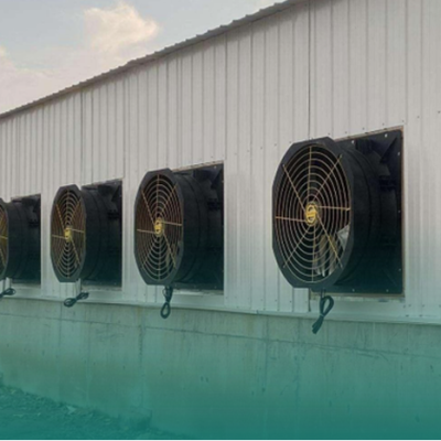 Fans System