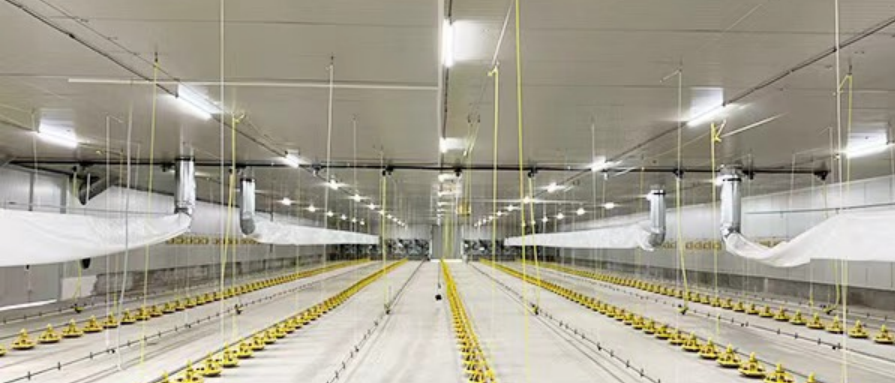 Lighting System for Flooring