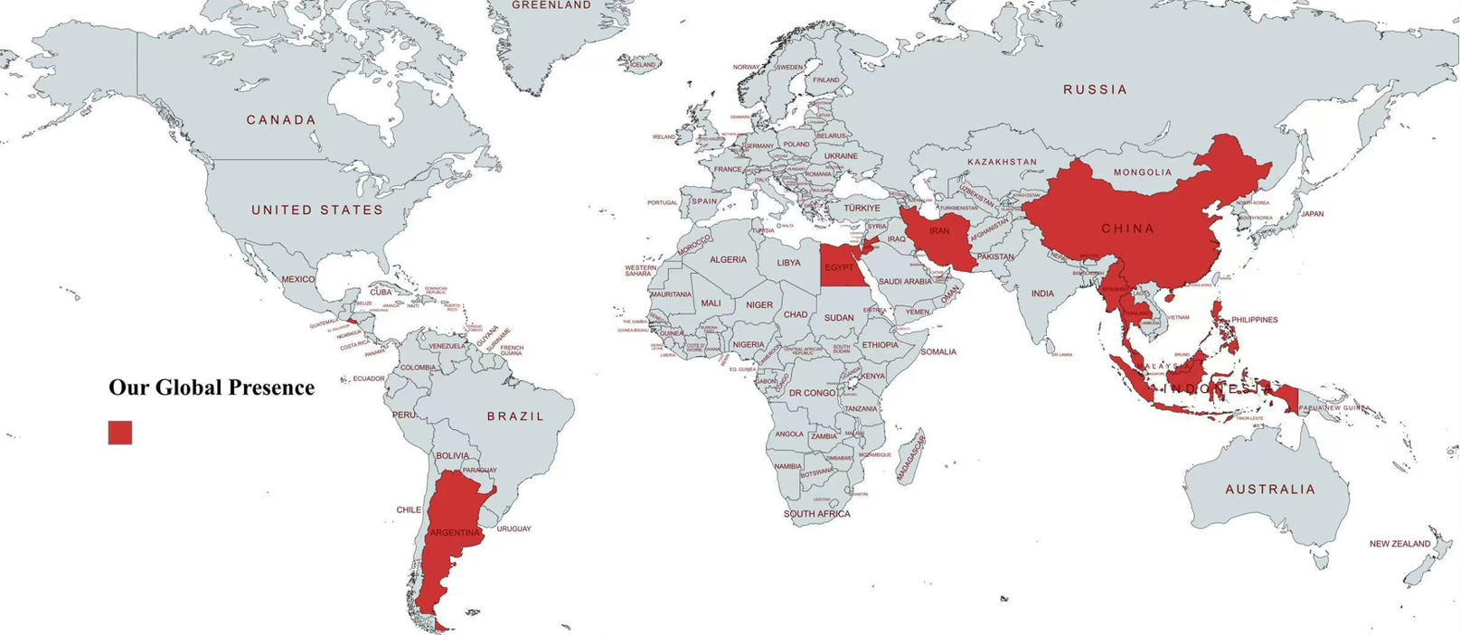 Our Global Presence