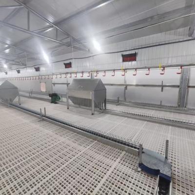 Feeder Line