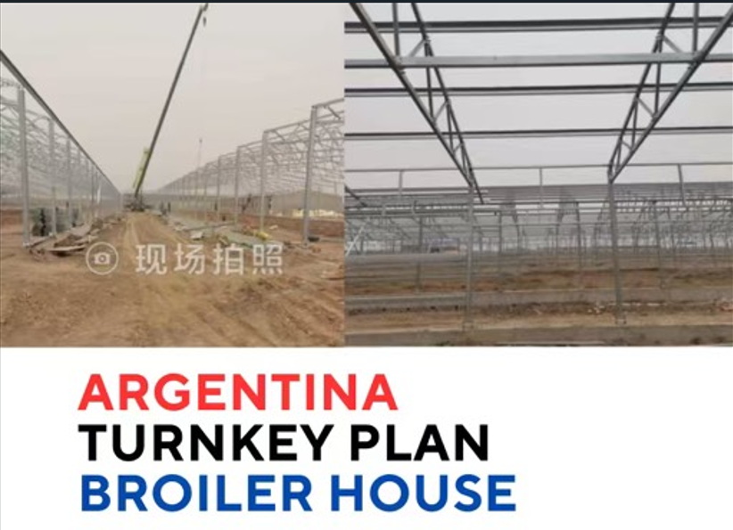 Argentina turnkey broiler house