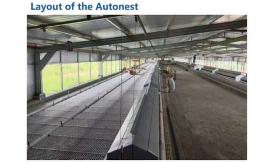 Autonest for Phillipine GP Farm
