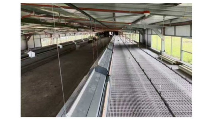 Autonest for Phillipine GP Farm