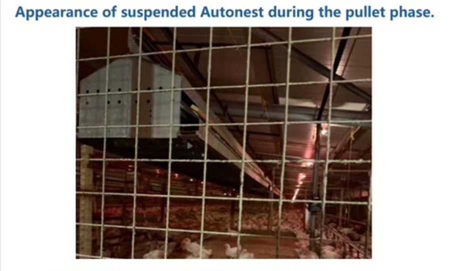 Autonest for Phillipine GP Farm