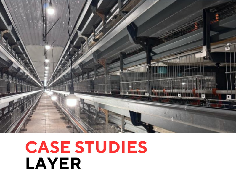 CASE LIGHTING LAYER
