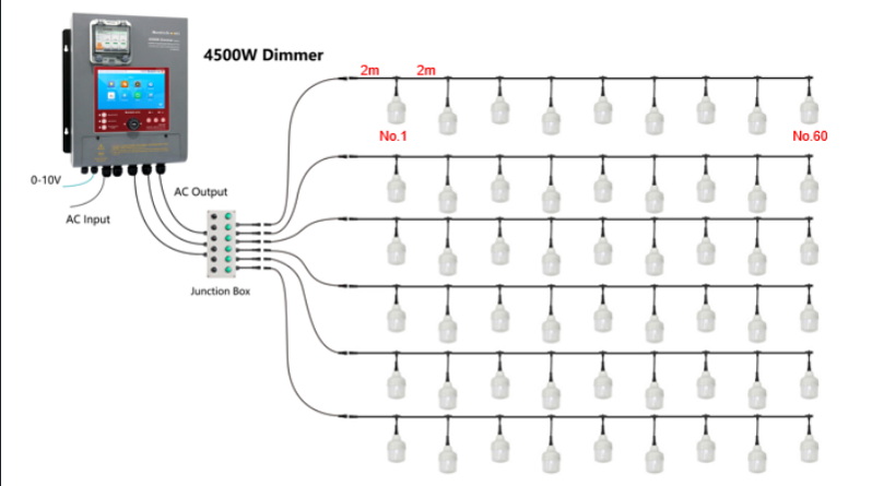 CASE LIGHTING LAYER