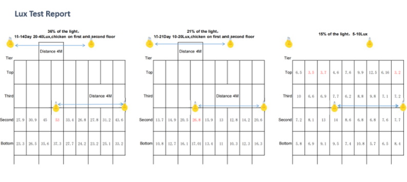 CASE LIGHTING LAYER